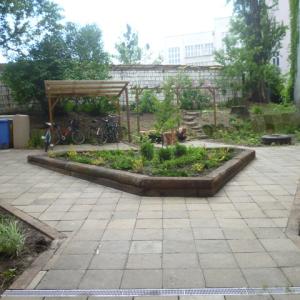 podwórko poznańska 27 poznań -jezyce- zieleń